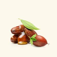 Jojoba